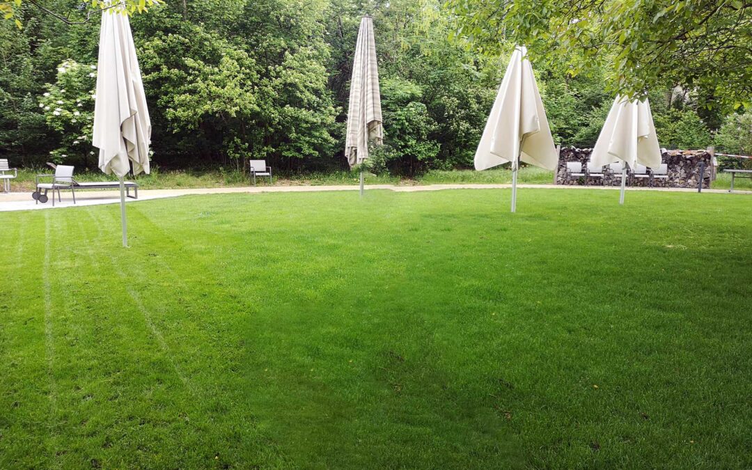 Gartenpflege